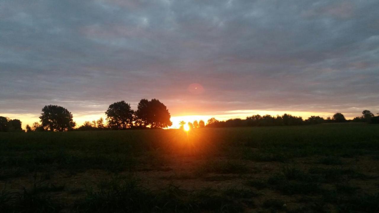 Cascina Bucolica B&B Alpignano Bagian luar foto